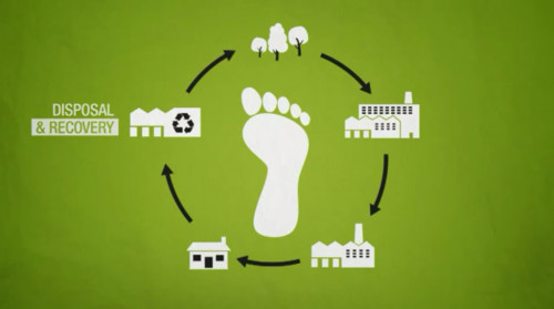 Your Ecological Footprint