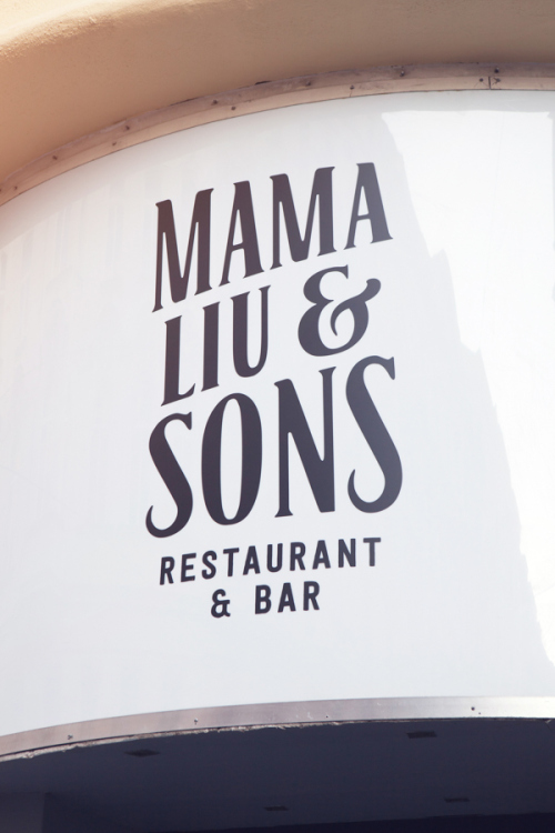 mamaliuandsons_branding10