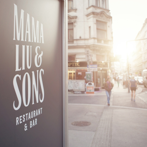 mamaliuandsons_branding1