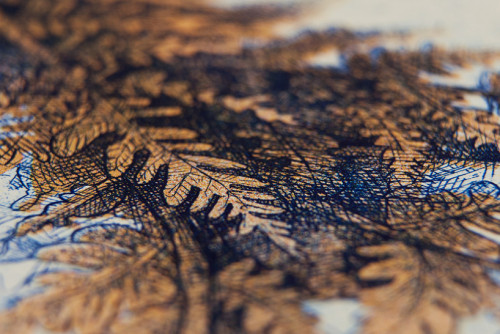 barbara-bernat-hungarian-paper-money-designboom-04