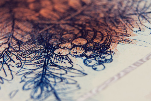 barbara-bernat-hungarian-paper-money-designboom-12