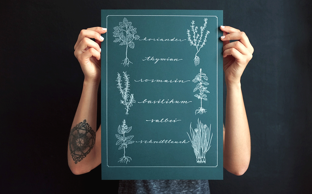 herbs Poster-marionkamper