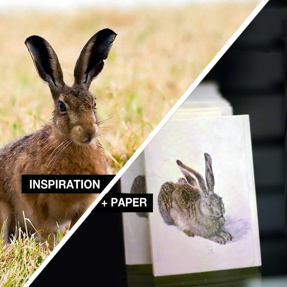 Albrecht Dürer’s Young Hare