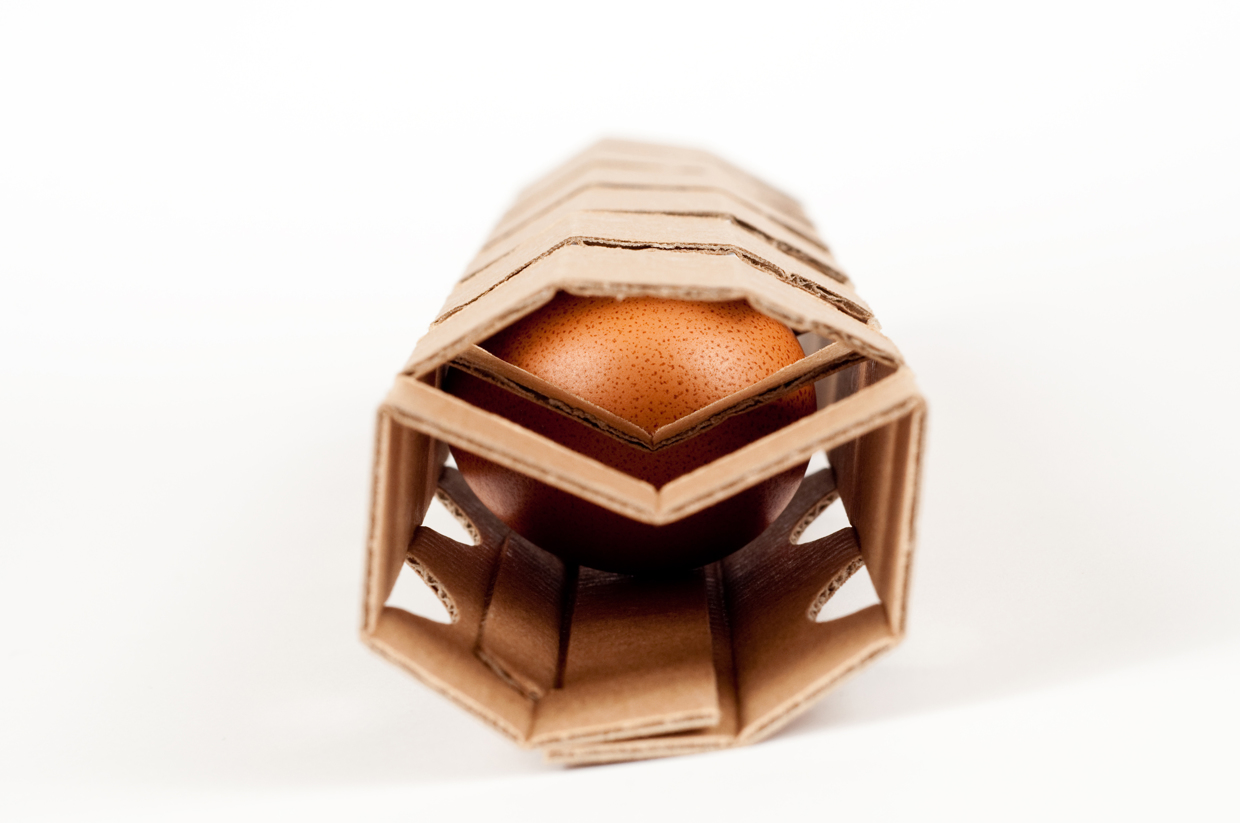 20+ Inspirational Egg Carton Designs