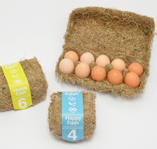 Abolido mejilla Cadena 20+ Egg Packaging Designs - Design & Paper