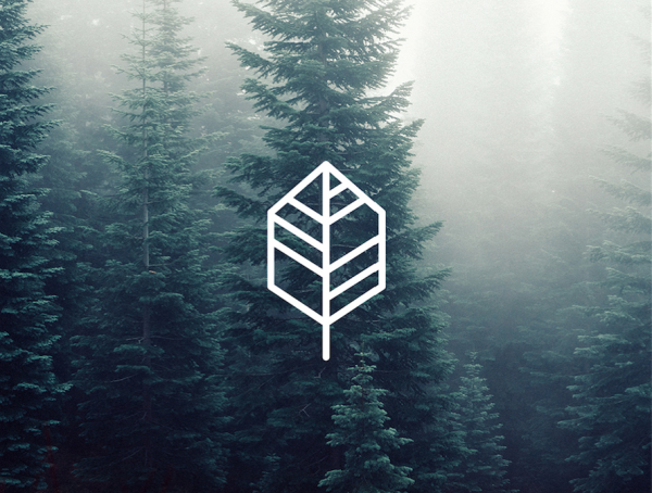 How is harmony is perceived in contemporary design philosophy essay 04 image