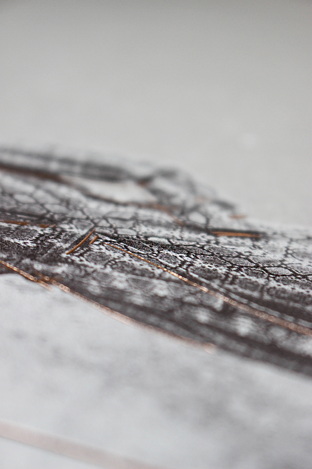 Patrizia Pepe Catalog Made of Gmund Urban Cement Dust Paper