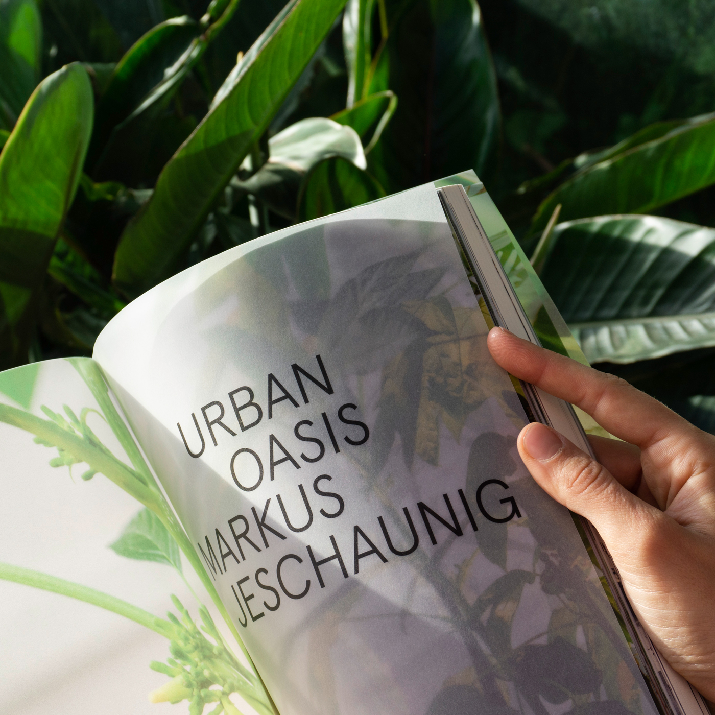 Urban Oasis Artist Book Follows the Character of the Urban No.8 Installation