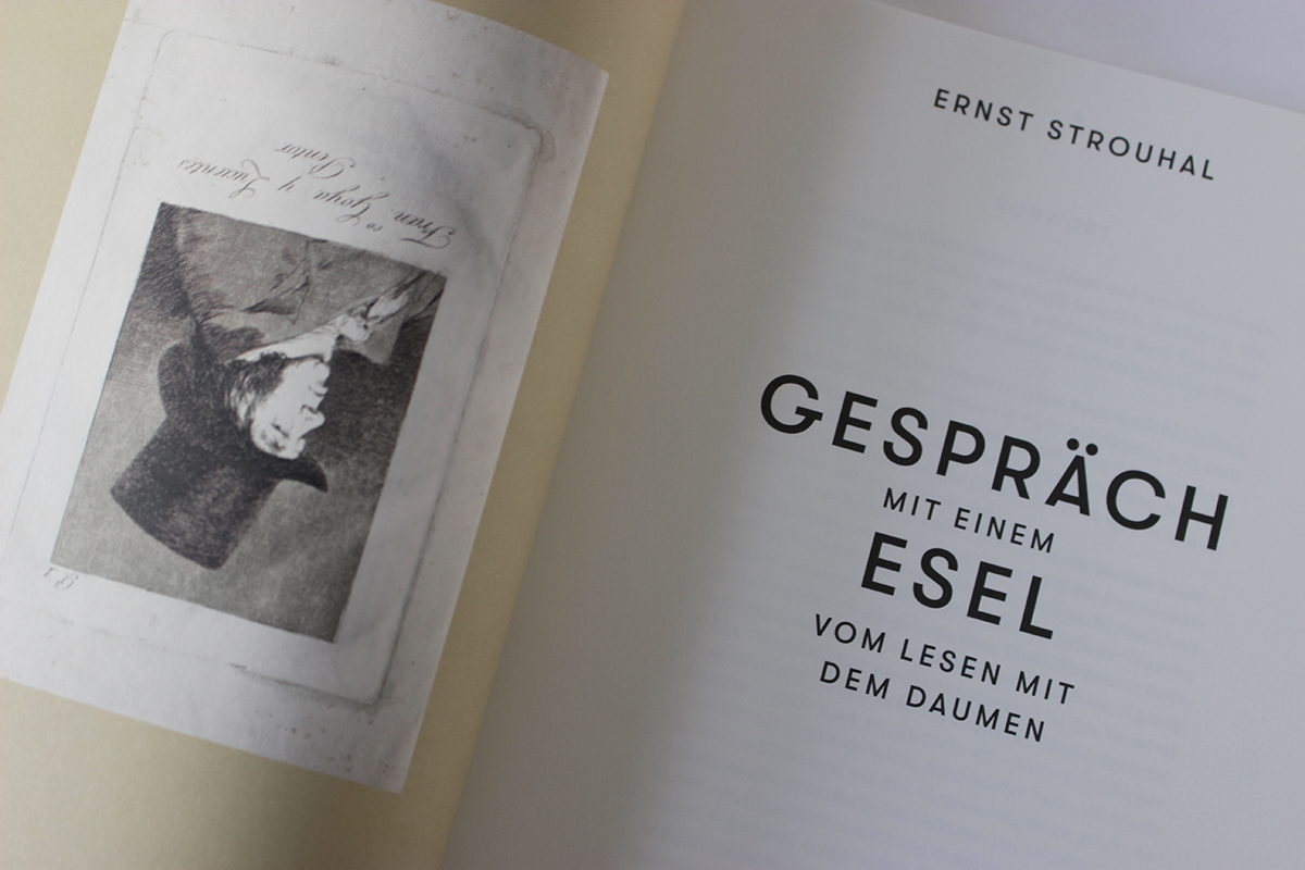 Gespräch mit Einem Esel - A Book That Turns Your Reading Habits Upside Down