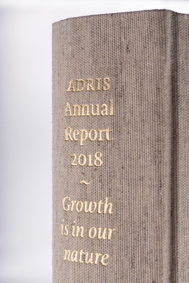 A Pink & Gold Annual Report Inspired by the Financial Times