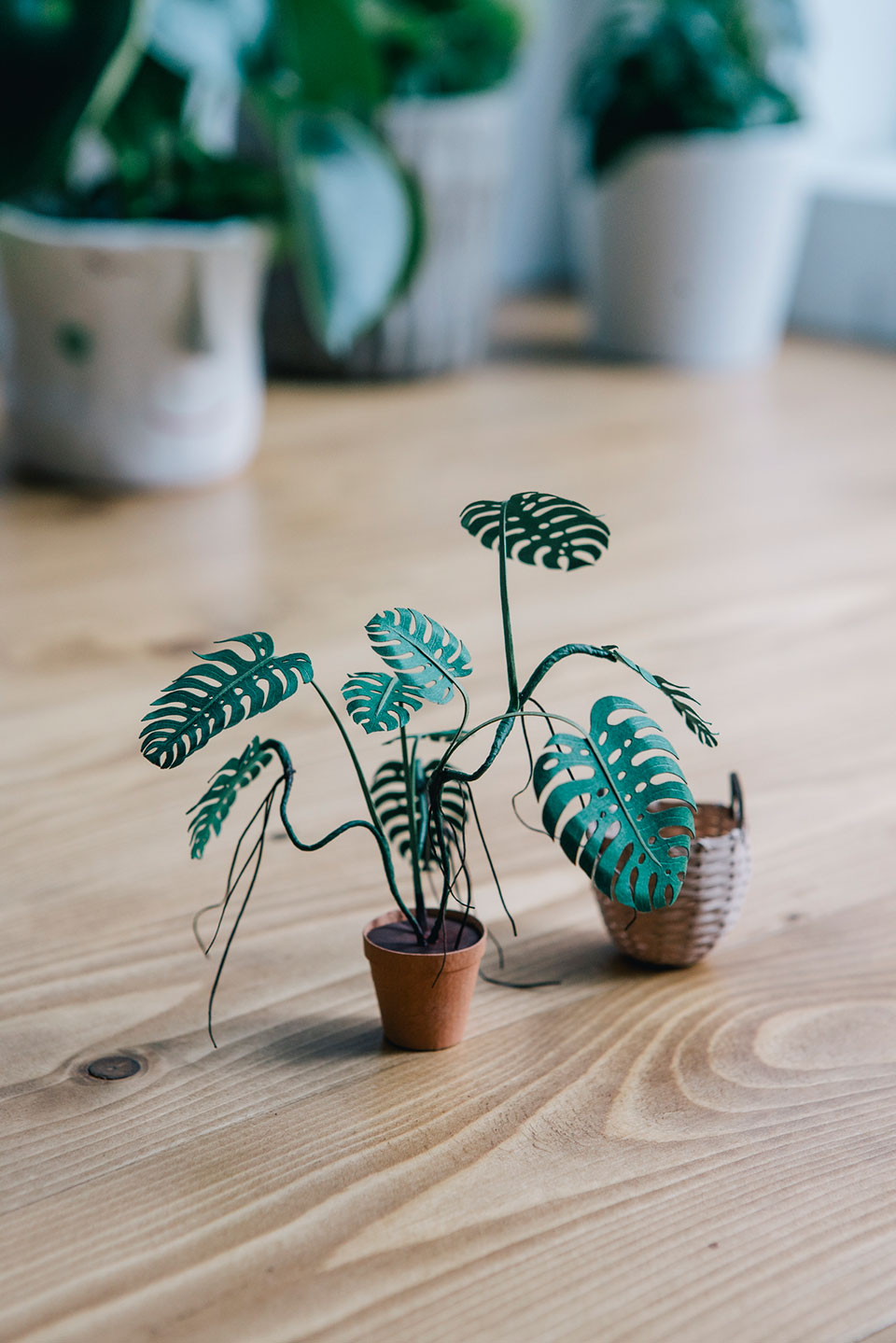Tiny Big Paper House Plants by Raya Sader Bujana