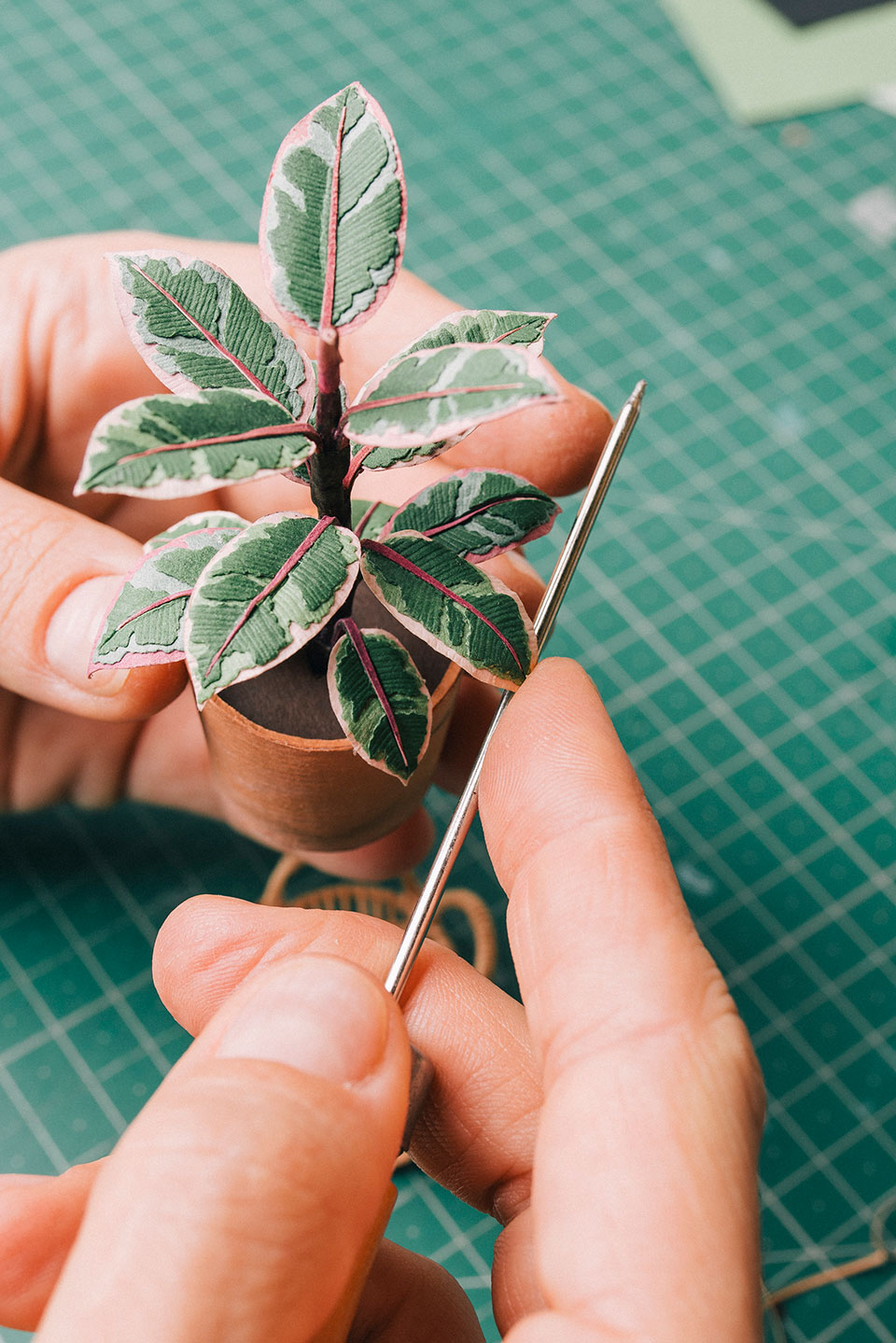 Tiny Big Paper House Plants by Raya Sader Bujana