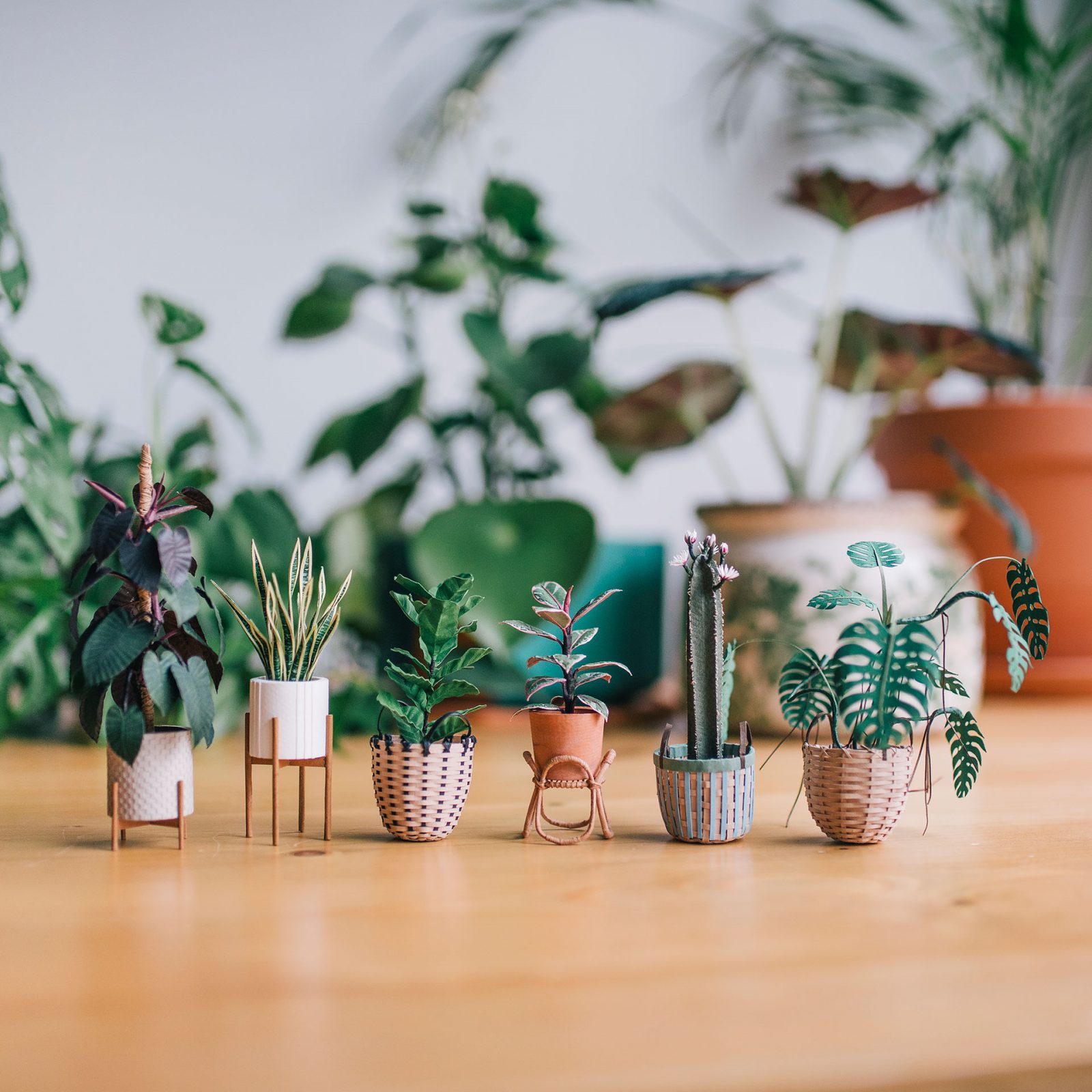 Tiny Big Paper House Plants by Raya Sader Bujana