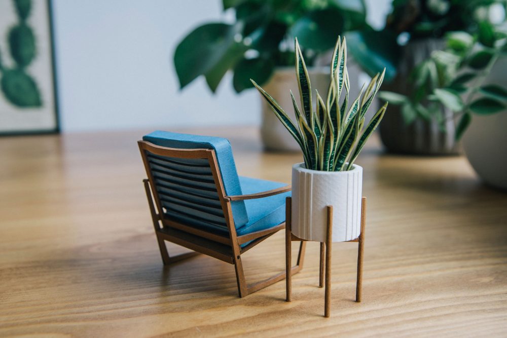 Tiny Big Paper House Plants by Raya Sader Bujana