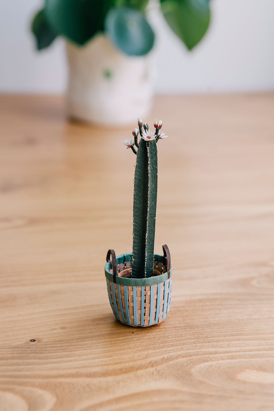 Tiny Big Paper House Plants by Raya Sader Bujana