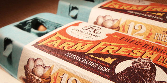 Eggellent Egg Packaging Design: Traditional vs Innovative