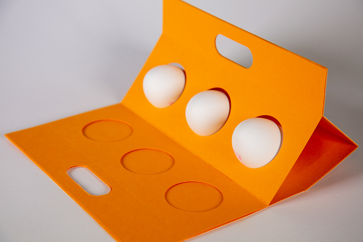 Eggellent Egg Packaging Design: Traditional vs Innovative