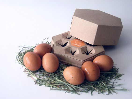 Eggellent Egg Packaging Design: Traditional vs Innovative