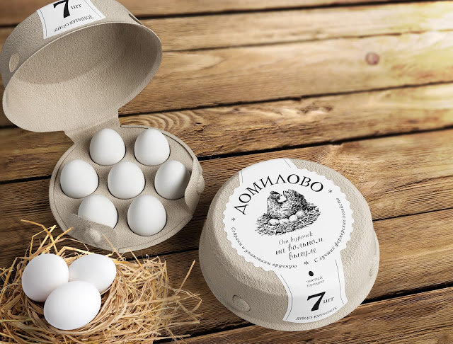 Eggellent Egg Packaging Design: Traditional vs Innovative