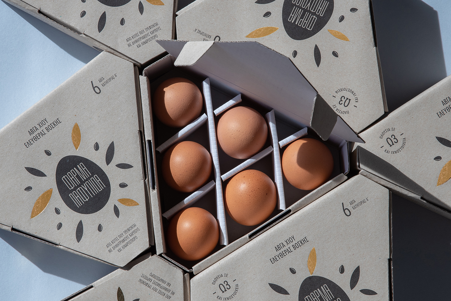 Eggellent Egg Packaging Design: Traditional vs Innovative