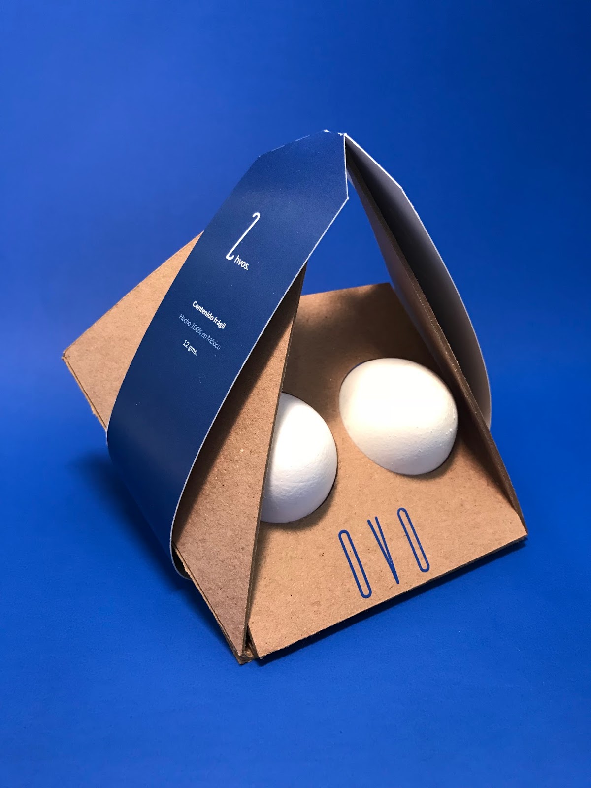 Eggellent Egg Packaging Design: Traditional vs Innovative