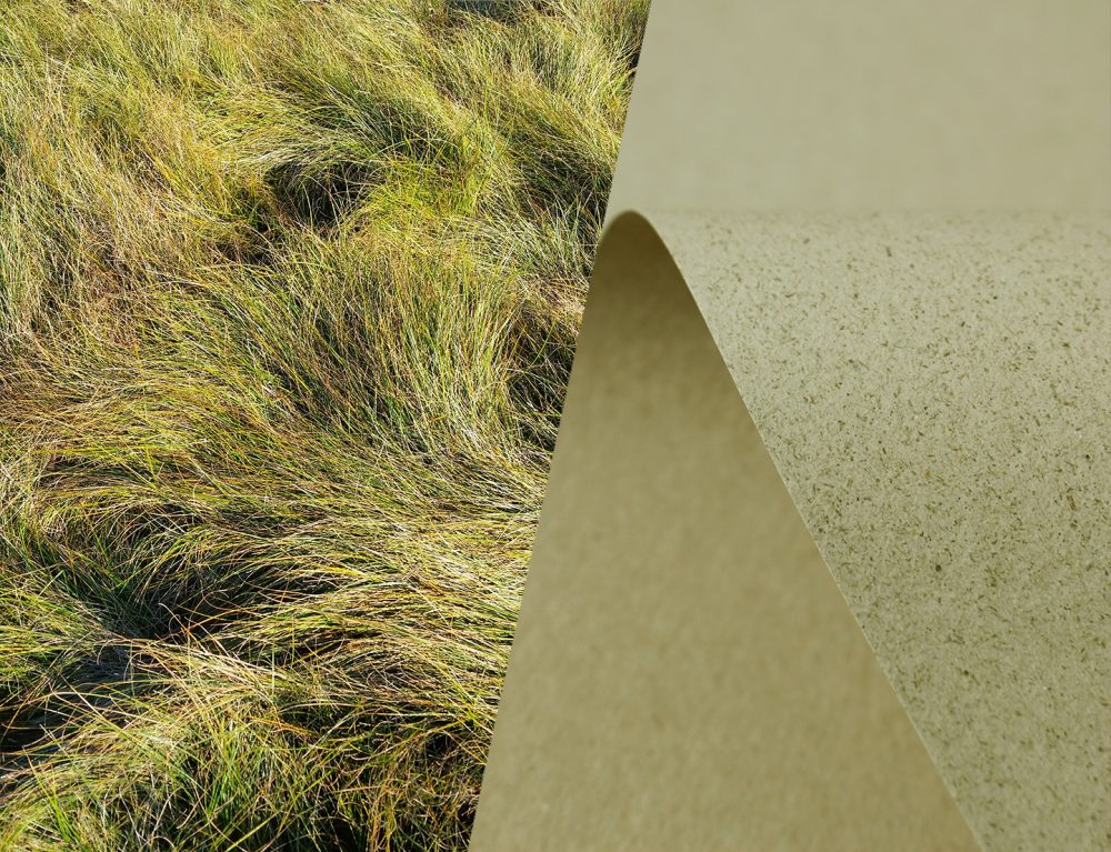 Meet SH Recycling Grass & Kaffee Papier Recycelt a Europapier Story