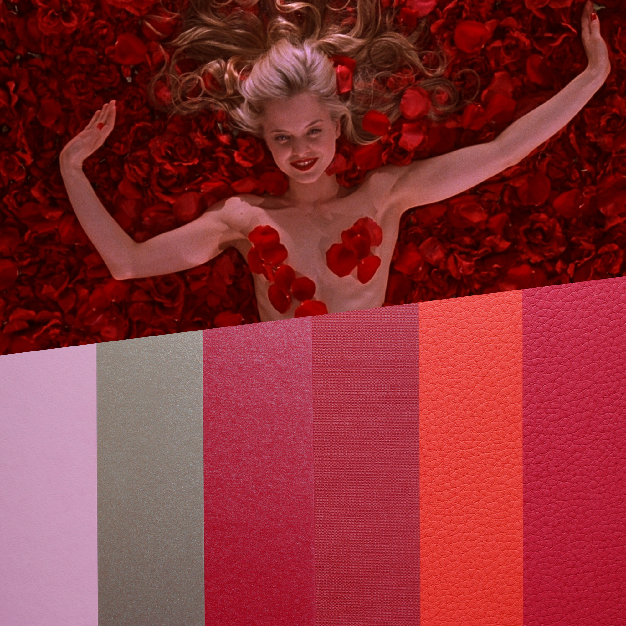 design papers collections inspired by an iconic movie scene - american beauty