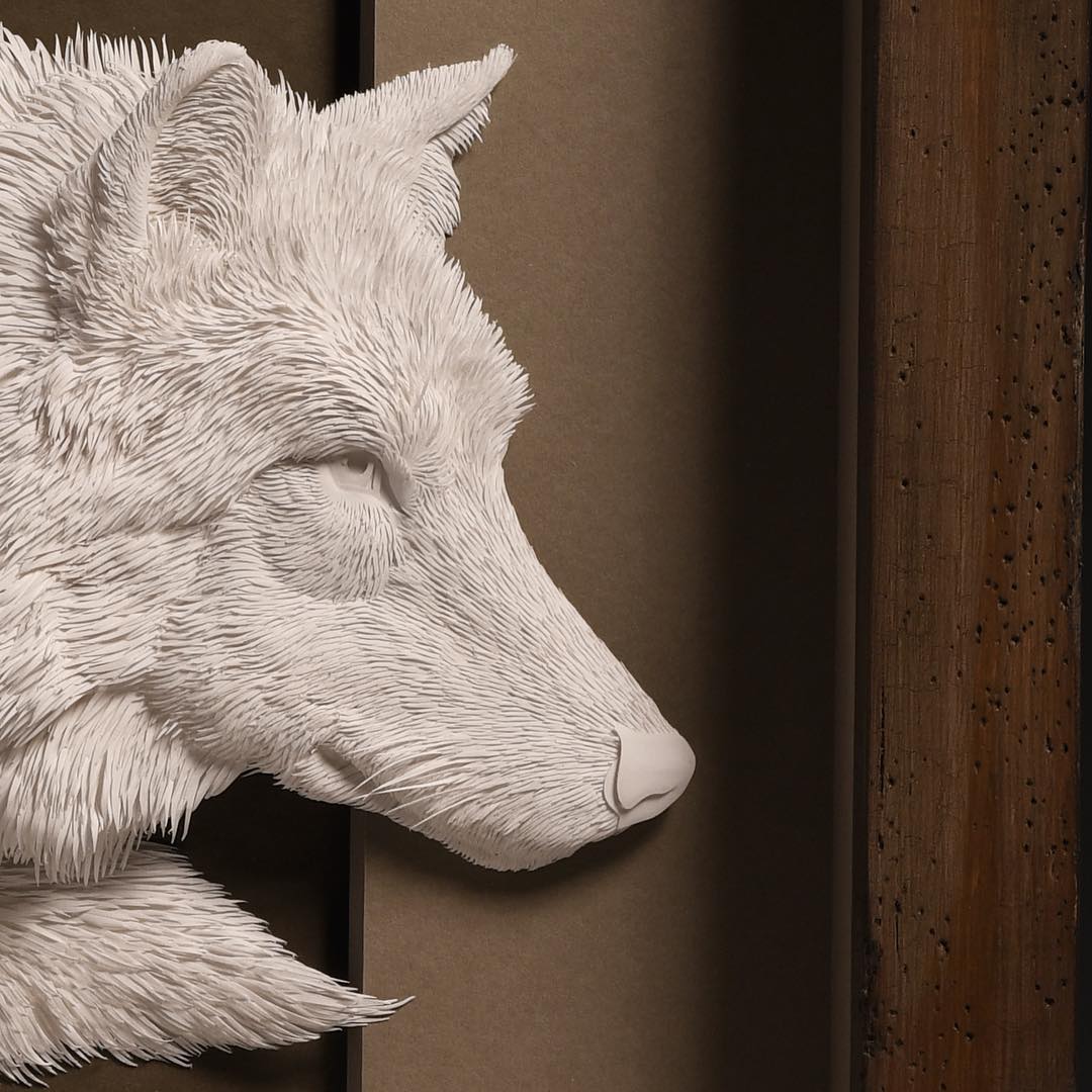 Calvin Nichols Turns Fine Papers Into Low Relief Sculptures