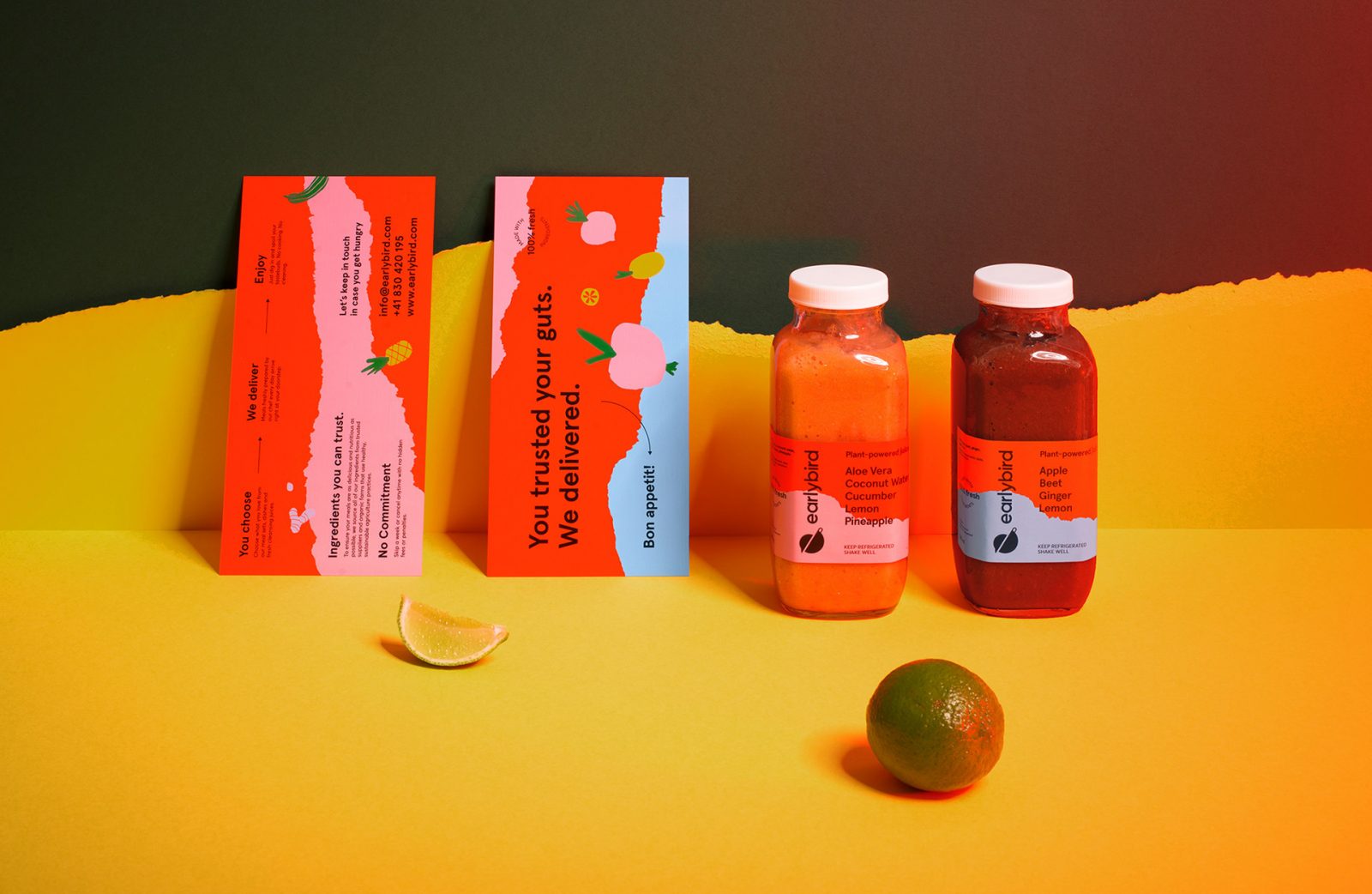 Fresh & Fun Earlybird Food Delivery Identity and Packaging by NECON