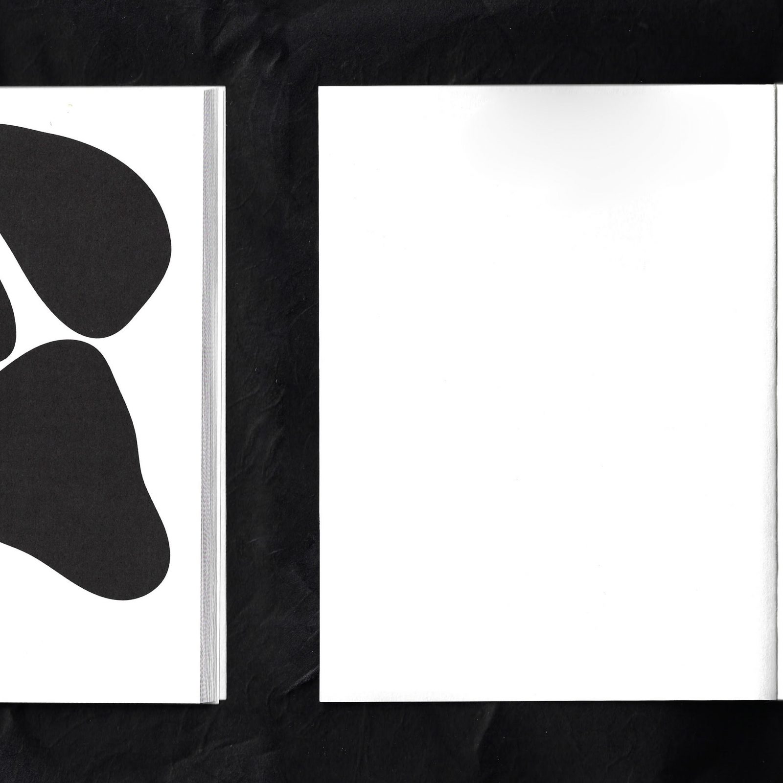 Donau Book by CinCin Captivates With Minimal Design, and beautiful papers