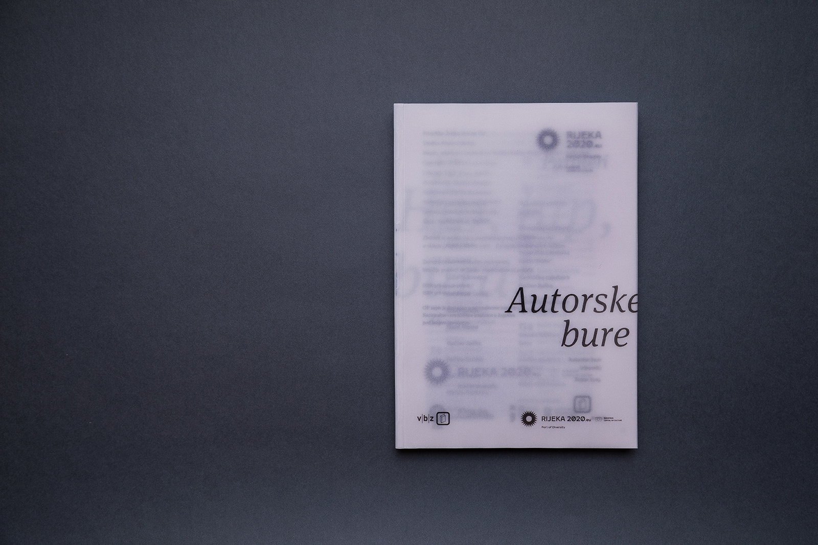 Authors’ Boras: a Collection of Short Stories Printed on Transparent Glama Basic