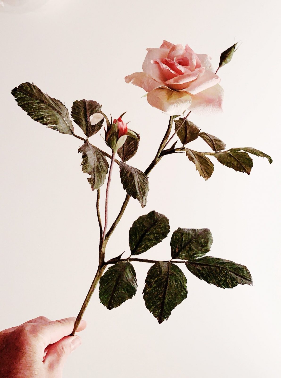 Hypnotizing Botanical Paper Sculptures by Tiffanie Turner