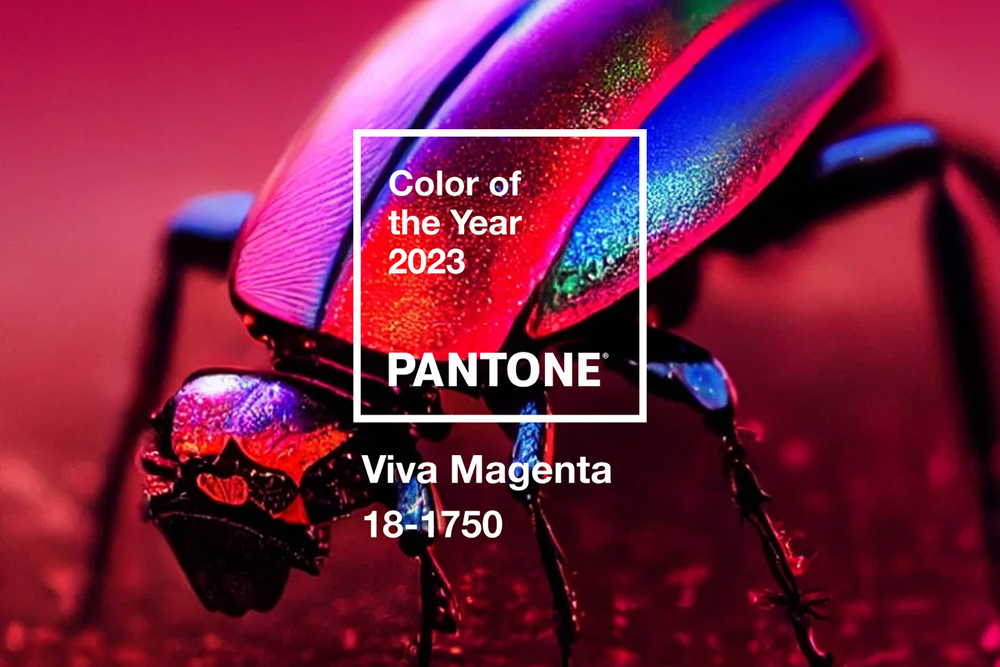 Viva Magenta 18-1750 is the 'Color of the Year