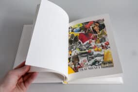 The Mountain Dreamer