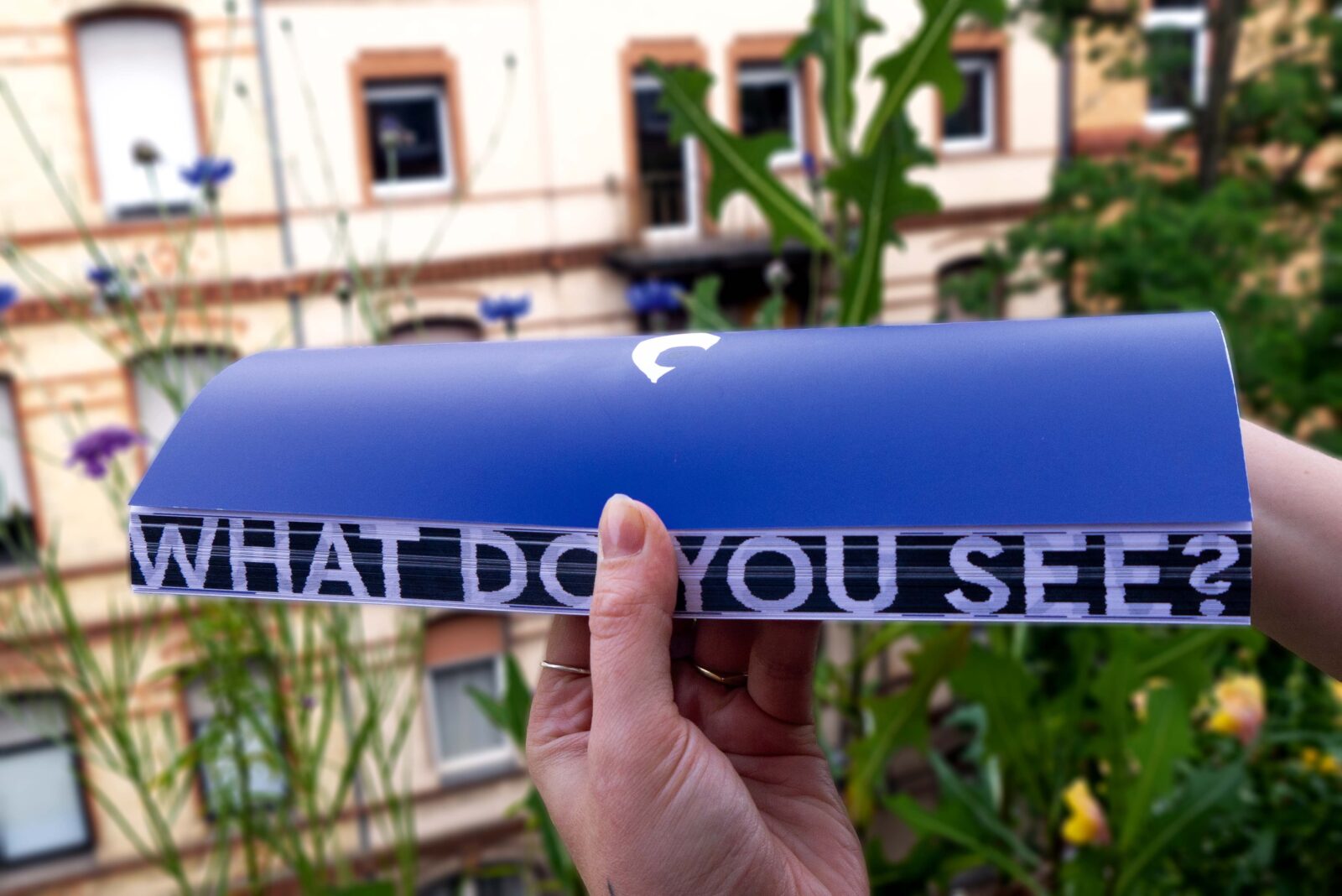 How I stumbled over the invisibility of the everyday and found my sense of wonder again