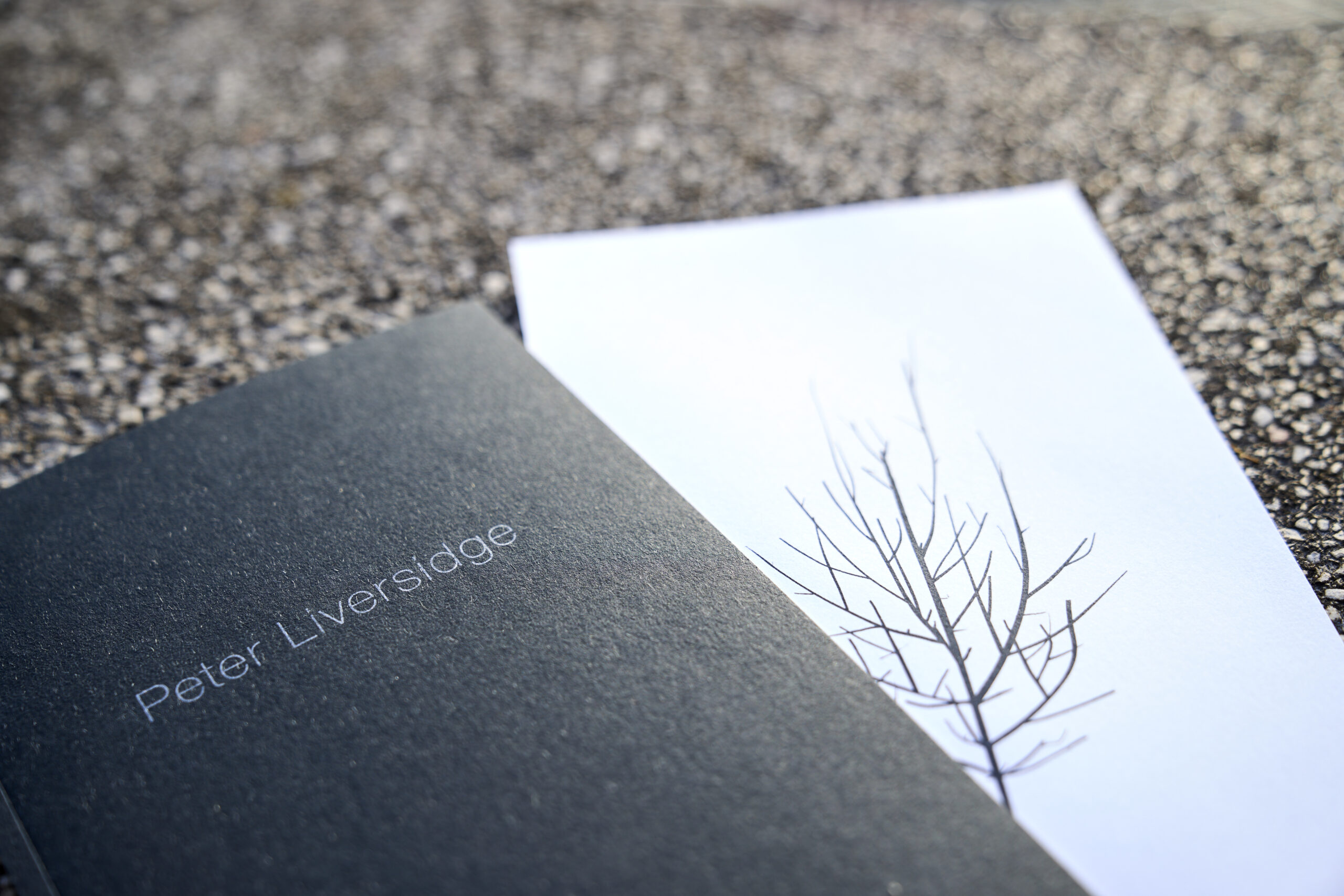 csimota_Peter Liversidge__VG10160