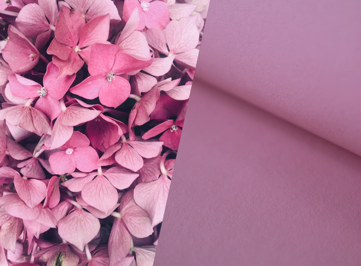 Inspiration + Paper series