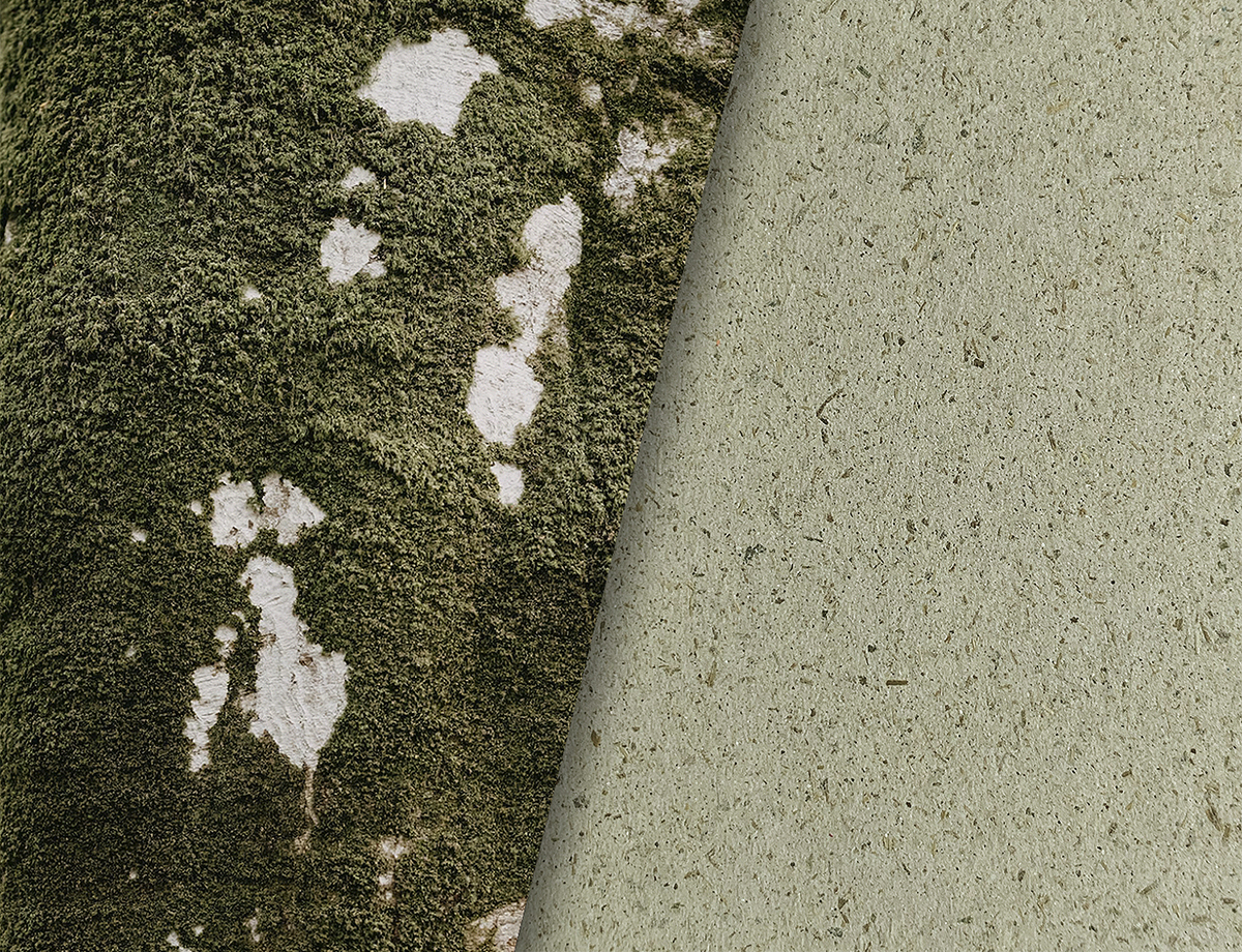 Inspiration + Paper series