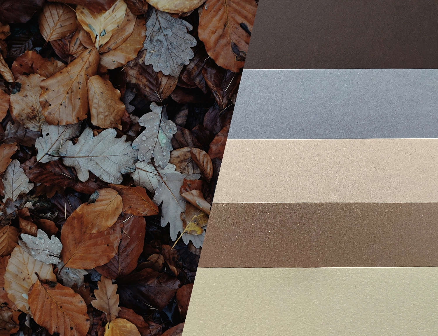 Inspiration + Paper series