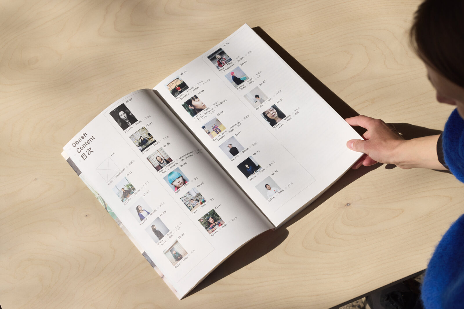 Overview of the Interviews