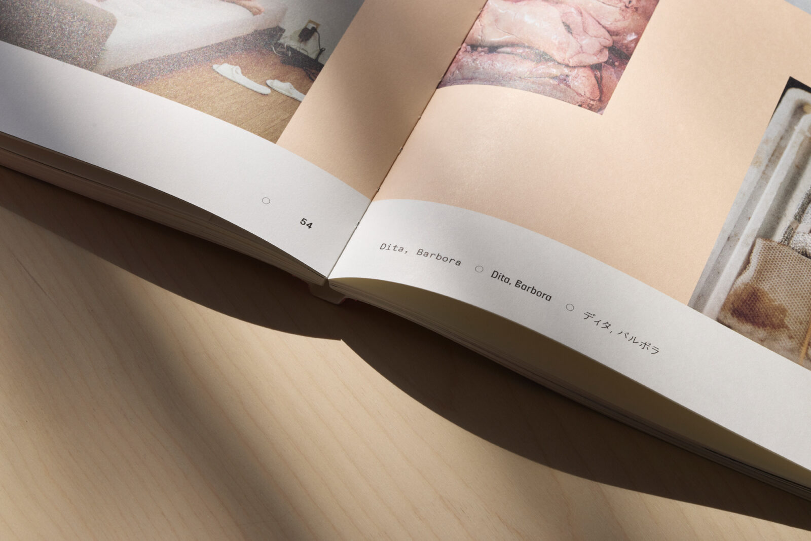 MILAN_NEDVED_SLECNY_JAPAN_9511