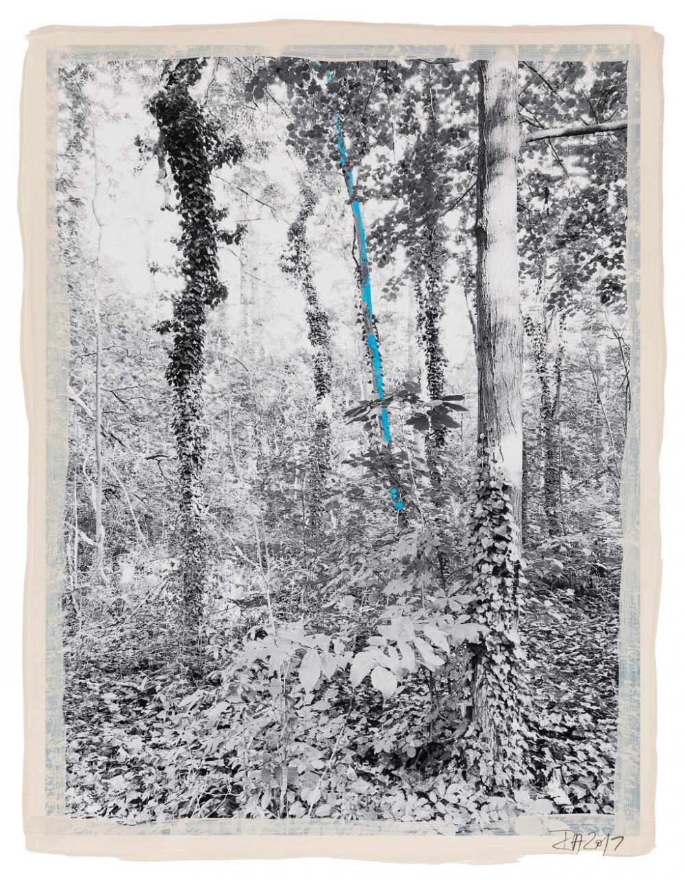 Regina Anzenbergen Shifting Roots exhibition Regina Anzenbergen Shifting Roots exhibition